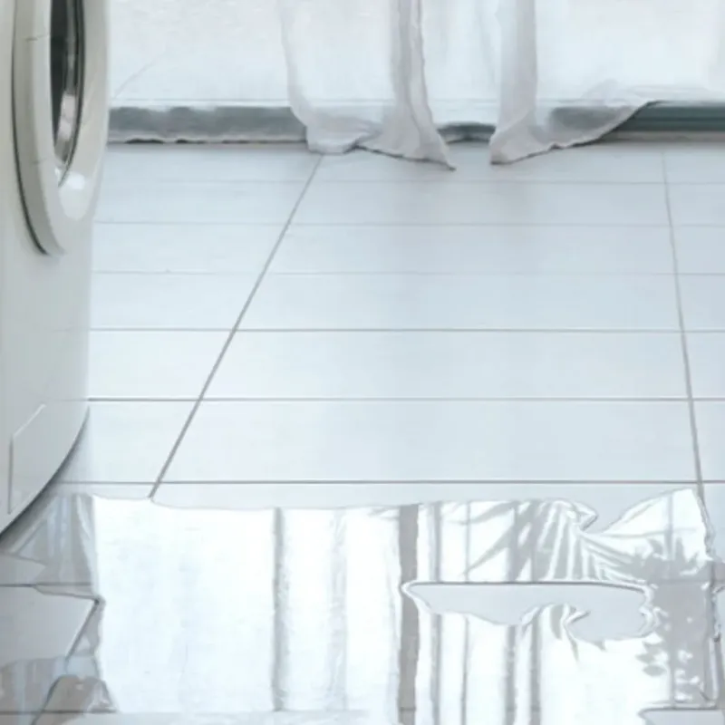 Appliance Leak Cleanup in Beloit, WI
