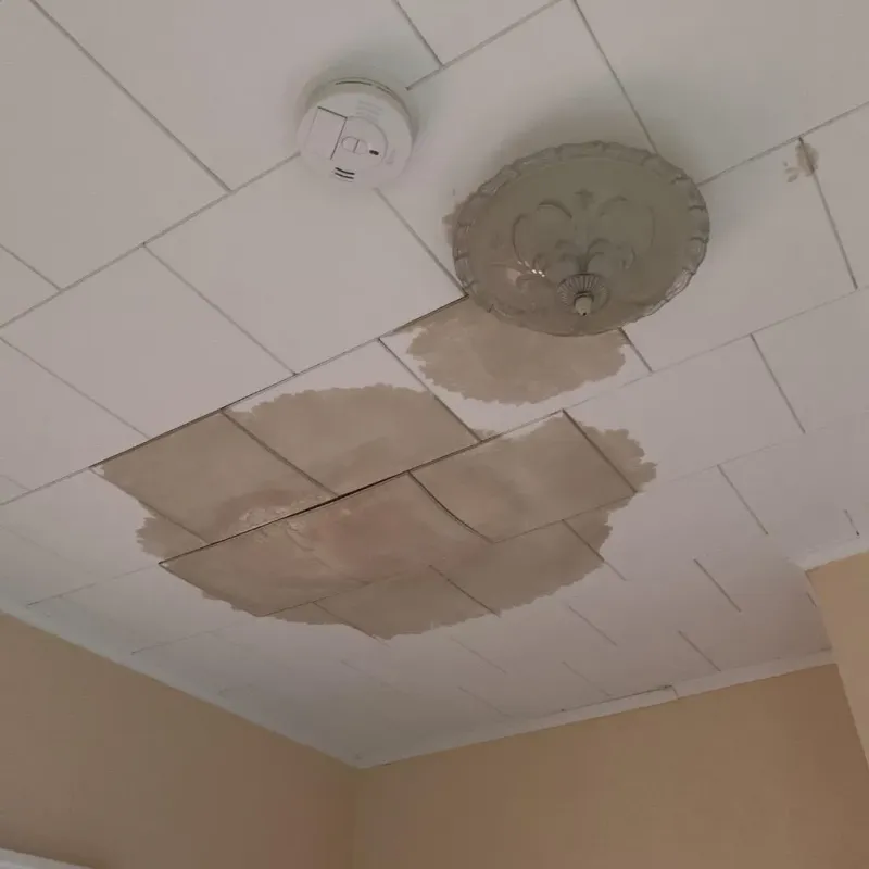 Ceiling Water Damage Repair in Beloit, WI