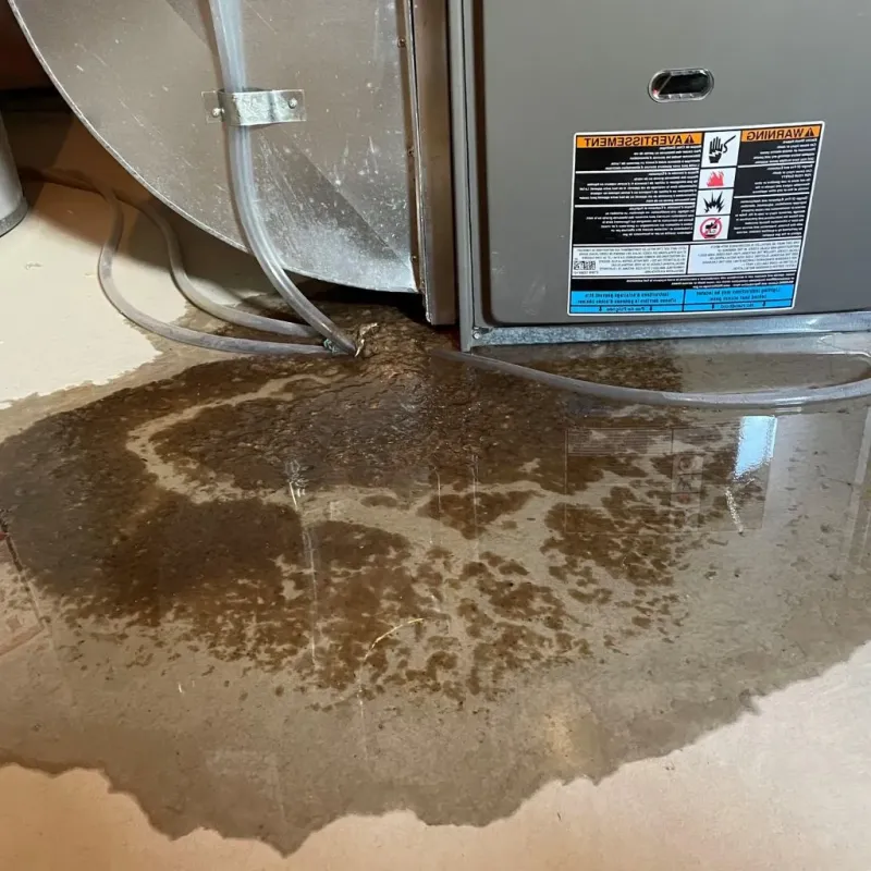 Pipe Burst and Leak Restoration in Beloit, WI